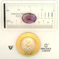 ITLGR_101591_SCALE.webp