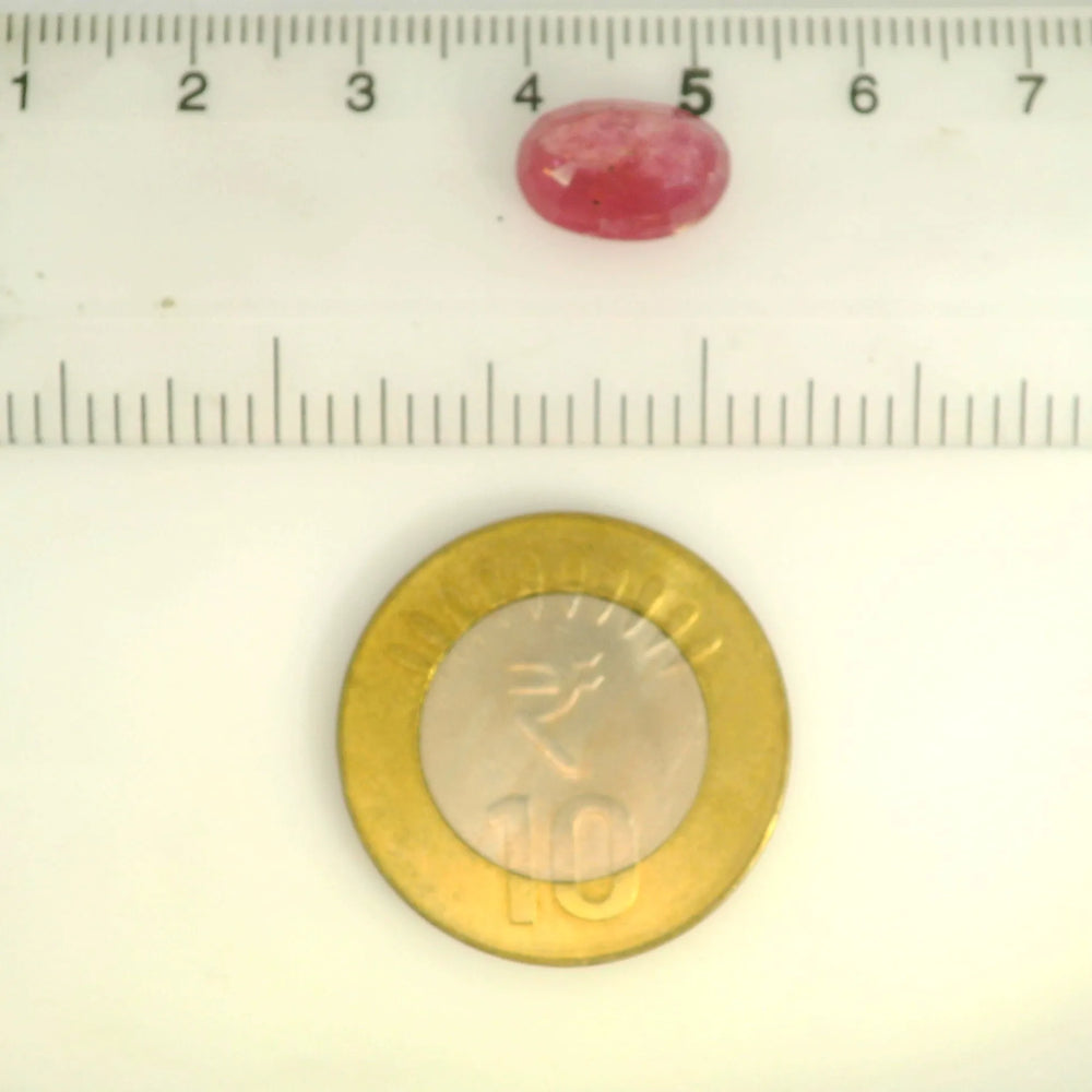 ITLGR_109892_SCALE.webp