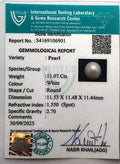 ITLGR_106901_CERTIFICATE.webp