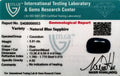 ITLGR_98953_CERTIFICATE.webp