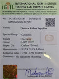 IGITL_200287_CERTIFICATE.webp