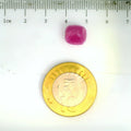 ITLGR_2592_SCALE.webp