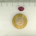 ITLGR_112886_SCALE.webp