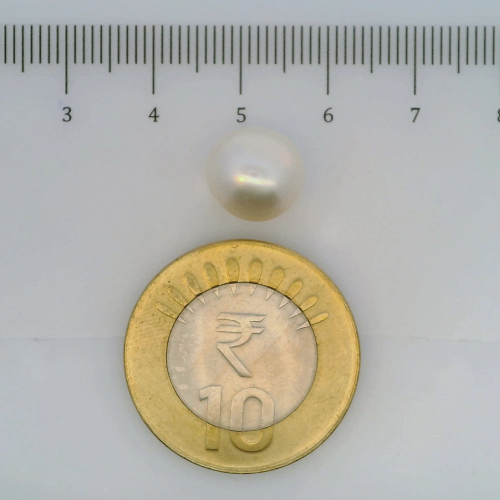 ITLGR_106959_SCALE.webp