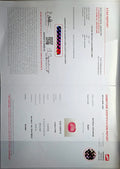 GFCO_39059_32_CERTIFICATE.webp
