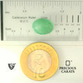 ITLGR_102107_SCALE.webp