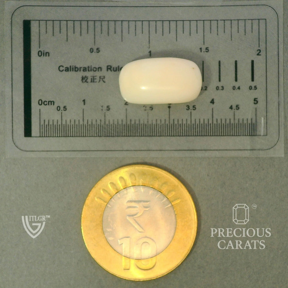 ITLGR_102028_SCALE.webp
