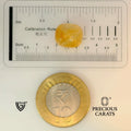 ITLGR_98886_SCALE.webp