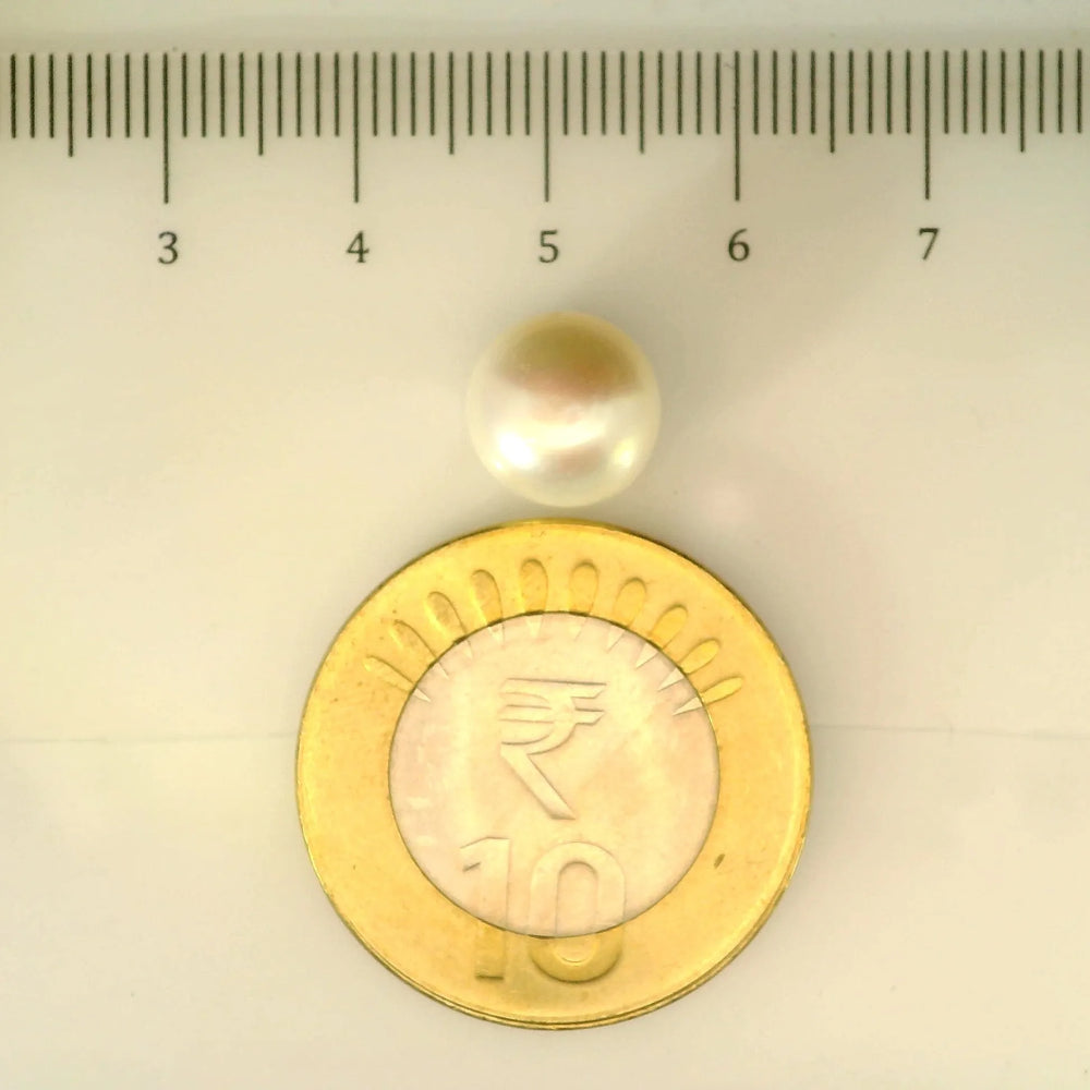 ITLGR_106947_SCALE.webp
