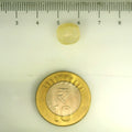 ITLGR_106781_SCALE.webp