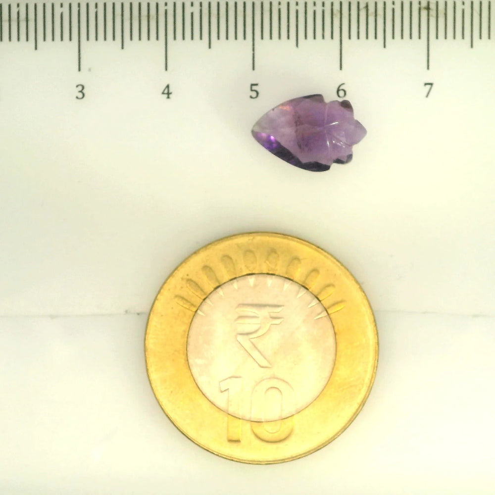ITLGR_109437_SCALE.webp