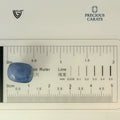 ITLGR_99026_SCALE.webp