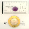 ITLGR_101635_SCALE.webp