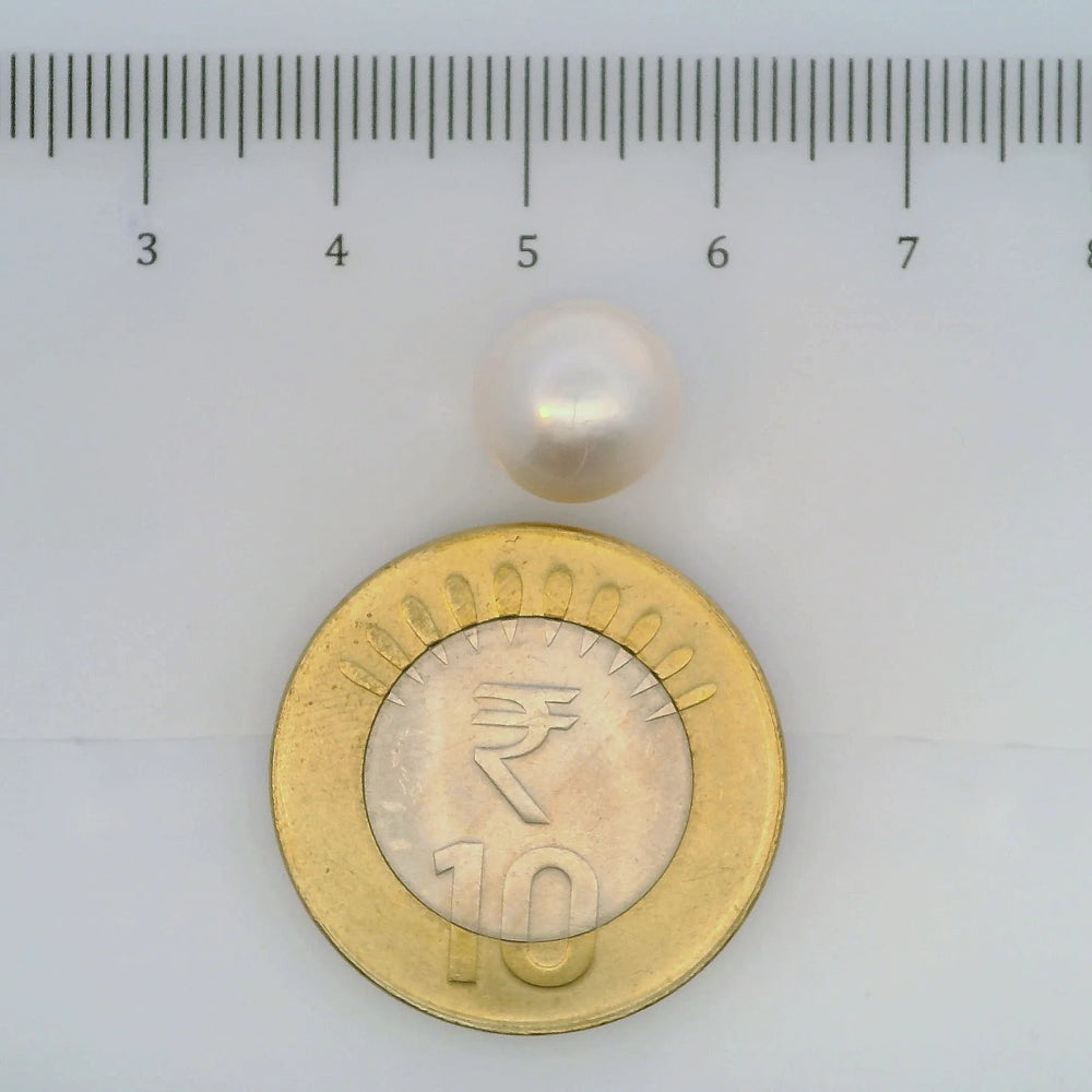 ITLGR_106941_SCALE.webp