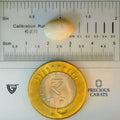 ITLGR_99888_SCALE.webp