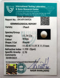 ITLGR_106926_CERTIFICATE.webp