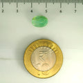 ITLGR_106877_SCALE.webp