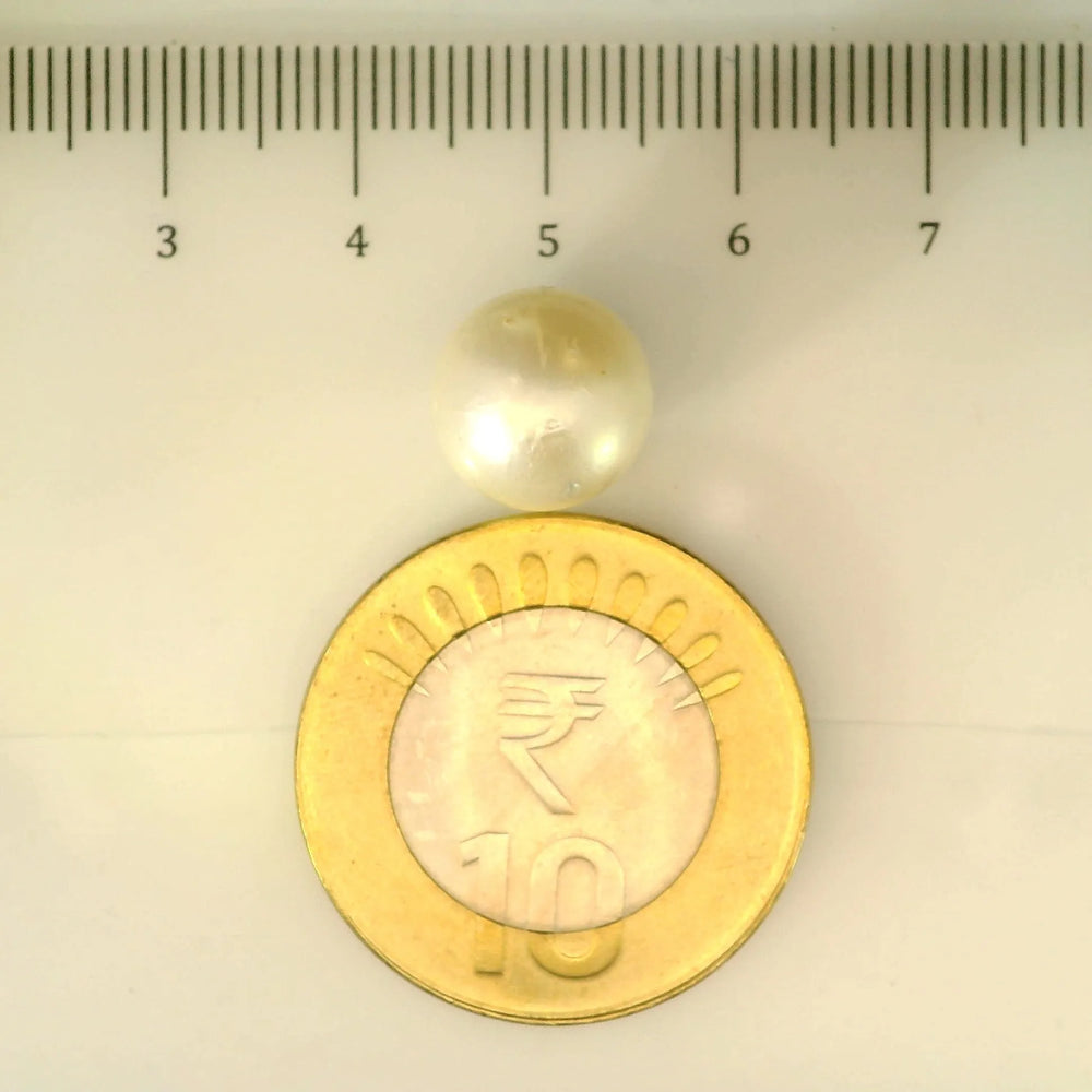 ITLGR_106891_SCALE.webp