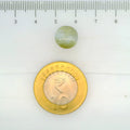 ITLGR_109776_SCALE.webp