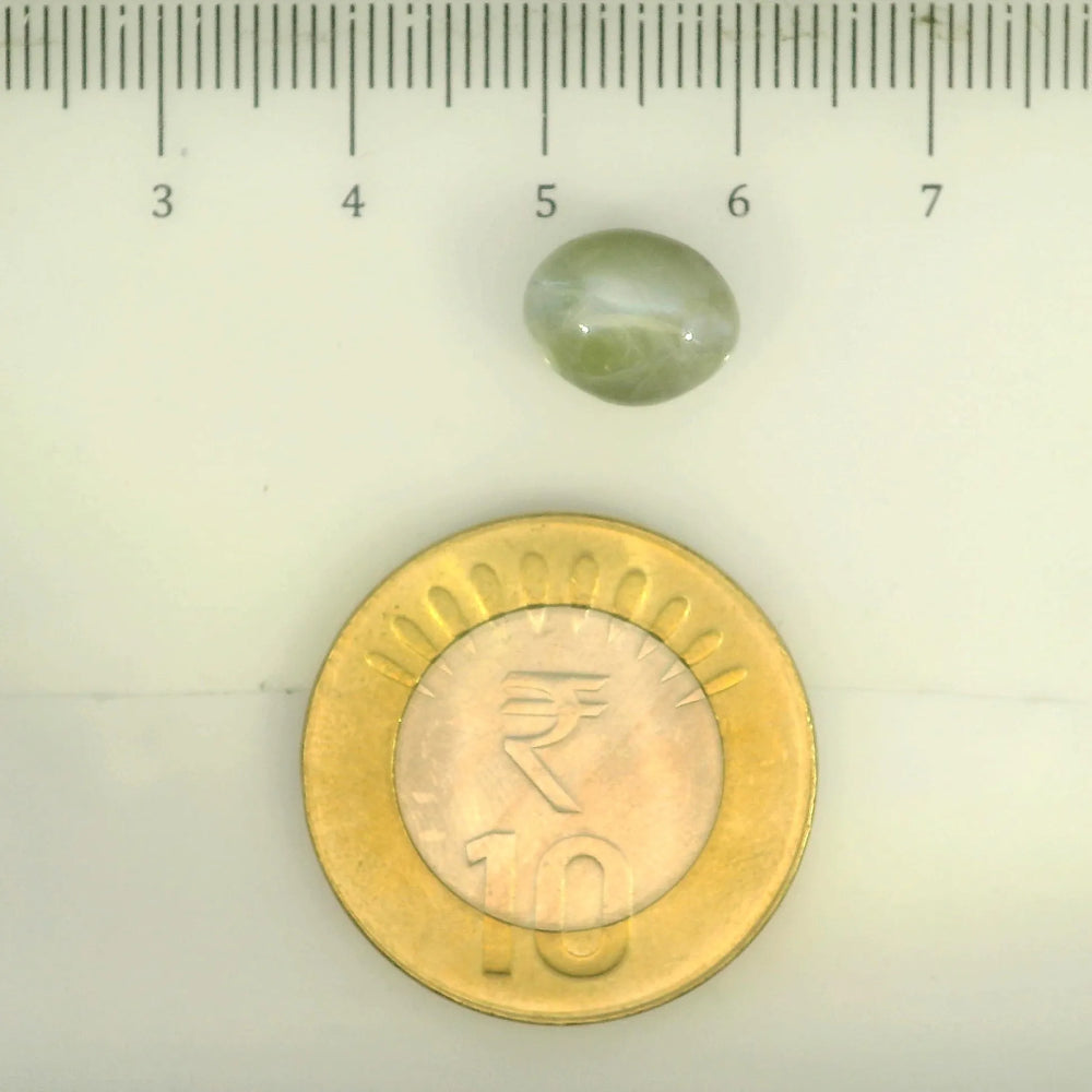ITLGR_109802_SCALE.webp