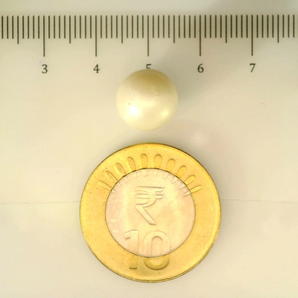 ITLGR_106920_SCALE.webp