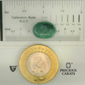 ITLGR_105054_SCALE.webp