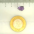 ITLGR_109448_SCALE.webp