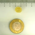 ITLGR_106770_SCALE.webp