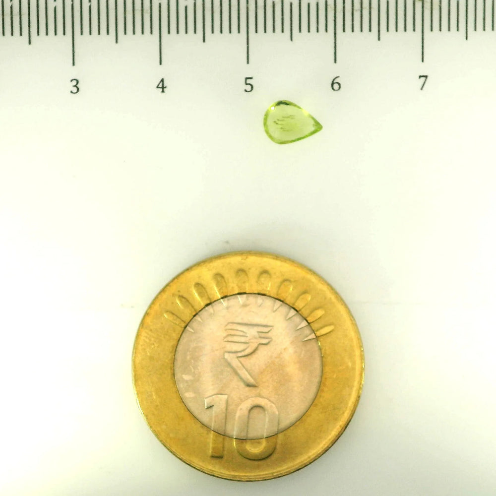 ITLGR_109364_SCALE.webp