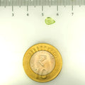 ITLGR_109364_SCALE.webp