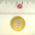 ITLGR_109899_SCALE.webp