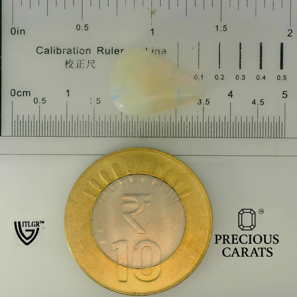 ITLGR_101927_SCALE.webp