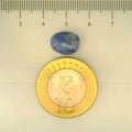 ITLGR_106686_SCALE.webp