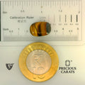 ITLGR_104437_SCALE.webp