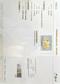 IIGJ_12879D53005_CERTIFICATE.webp