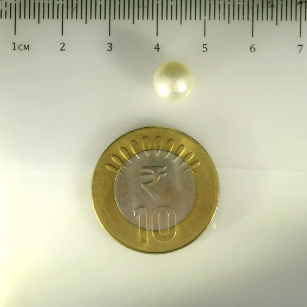 ITLGR_99857_SCALE.webp