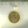 ITLGR_99857_SCALE.webp