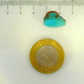 ITLGR_107253_SCALE.webp