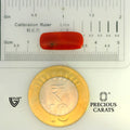ITLGR_104542_SCALE.webp