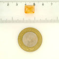 ITLGR_121717_SCALE.webp