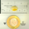 ITLGR_100506_SCALE.webp