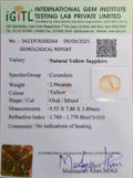 IGITL_200264_CERTIFICATE.webp