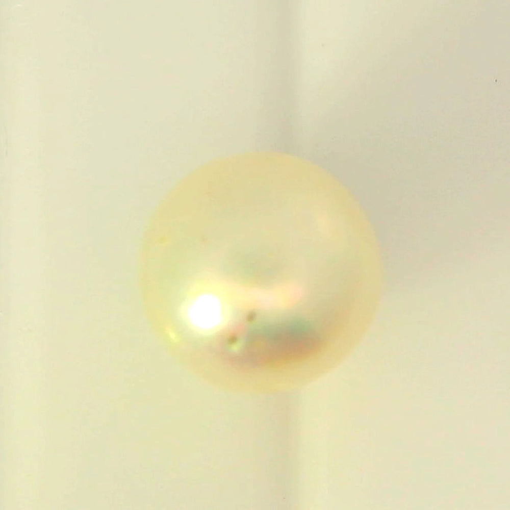 ITLGR_99848_TOP.webp
