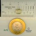IGITL_197757_SCALE.webp