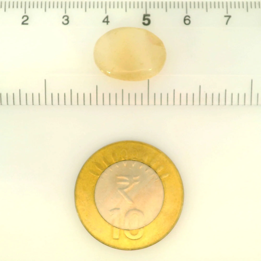 ITLGR_121460_SCALE.webp