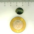 ITLGR_107042_SCALE.webp
