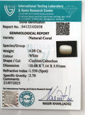 ITLGR_102038_CERTIFICATE.webp