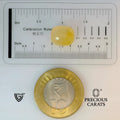 ITLGR_98872_SCALE.webp
