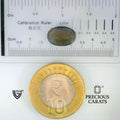 ITLGR_101660_SCALE.webp