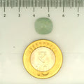 ITLGR_109481_SCALE.webp
